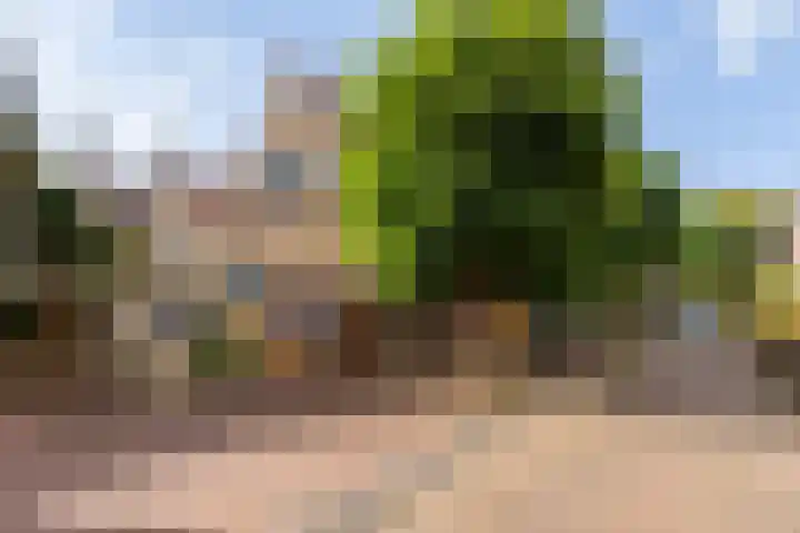Achter de Vismarkt 23 Gouda thumbnail 5