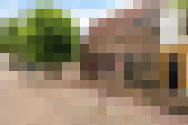 Achter de Vismarkt 23 Gouda thumbnail 6