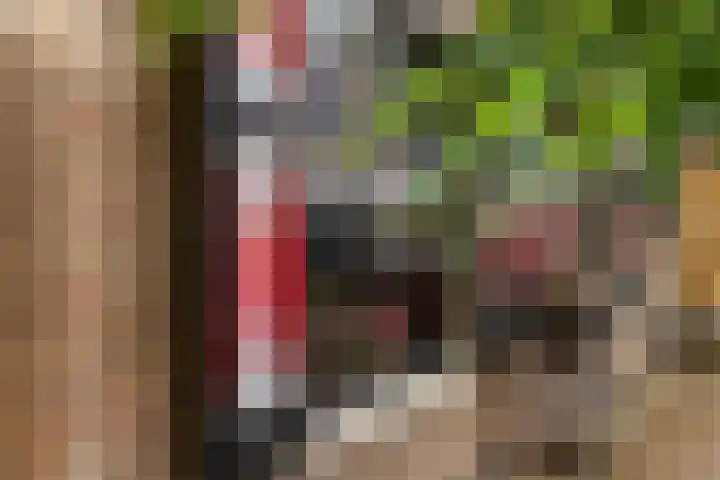 Achter de Vismarkt 23 Gouda thumbnail 8