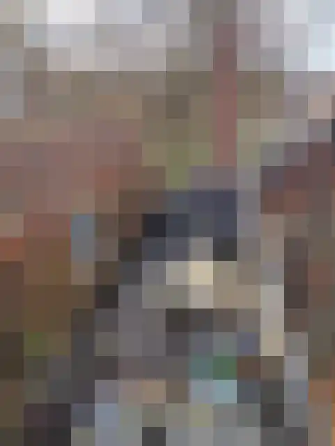 Achter de Vismarkt 3 e Gouda thumbnail 28