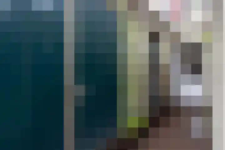 Achter de Vismarkt 3 e Gouda thumbnail 8