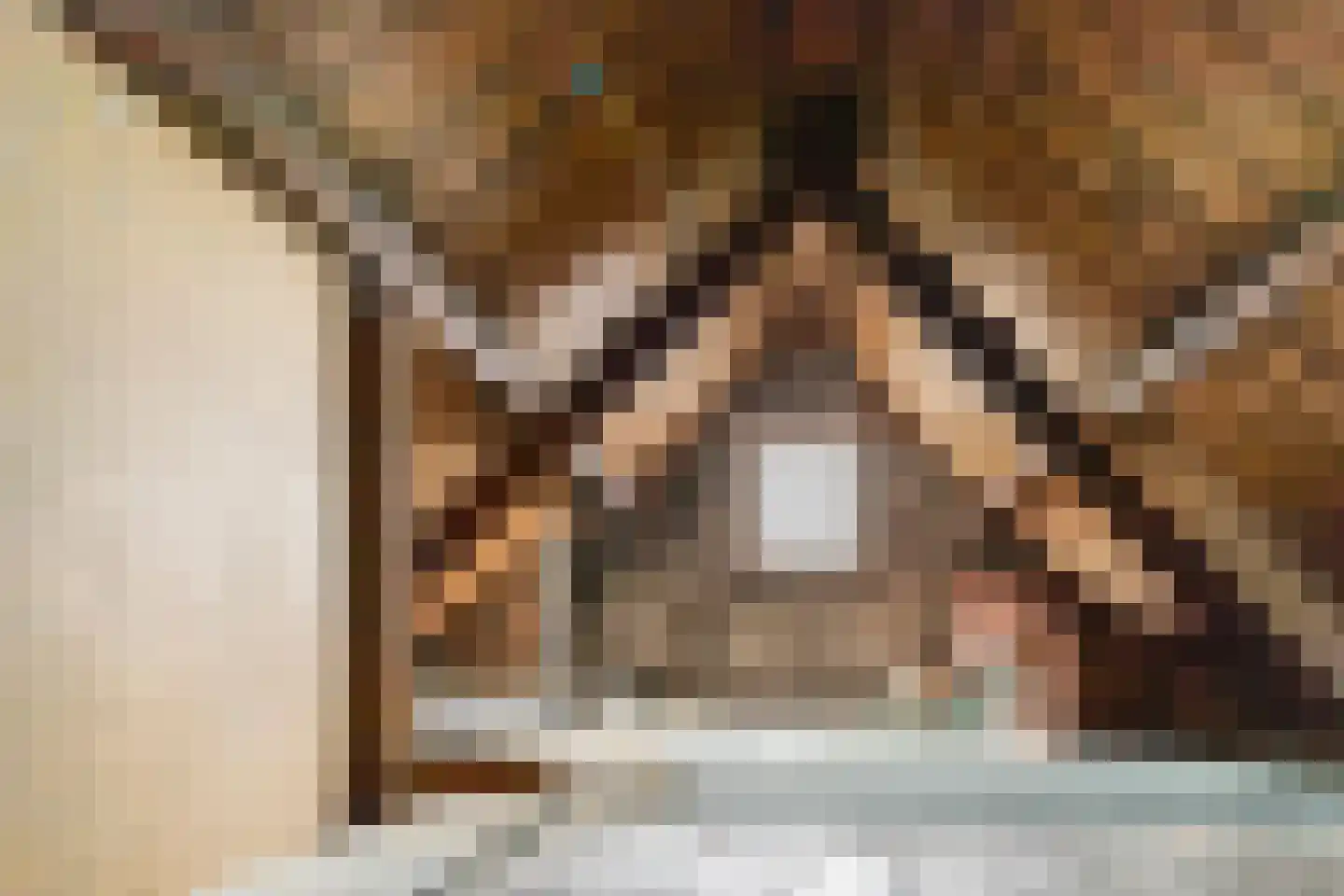 Achter de Vismarkt 3 f Gouda thumbnail 23