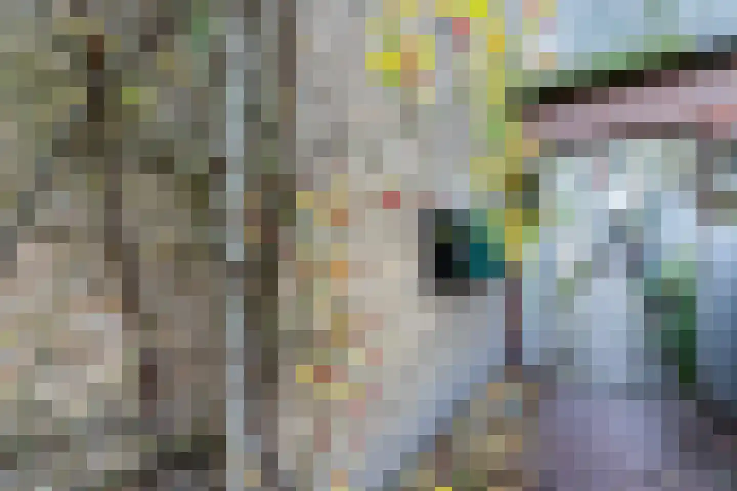 Achter de Vismarkt 3 f Gouda thumbnail 8