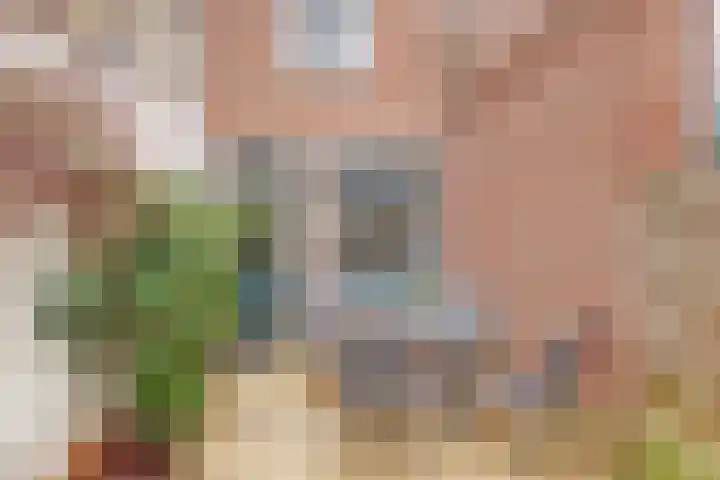 Achter de Vismarkt 44 Gouda thumbnail 30