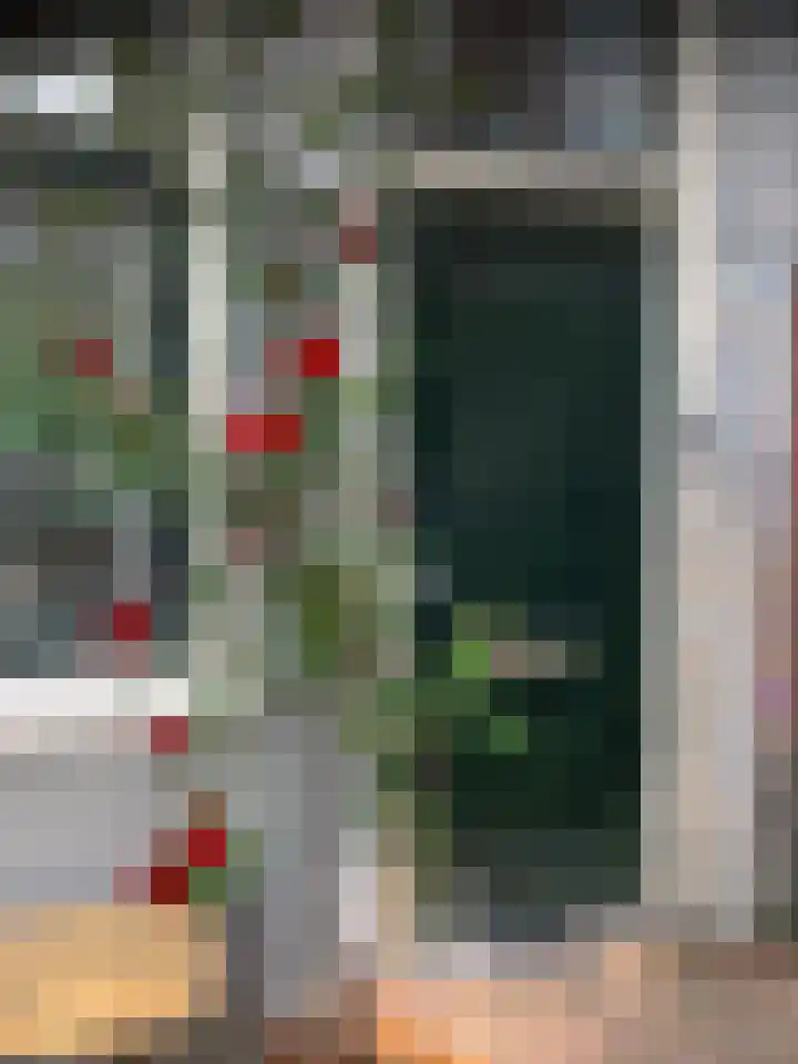 Achter de Vismarkt 44 Gouda thumbnail 34