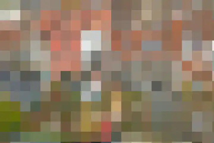 Achter de Vismarkt 44 Gouda thumbnail 37