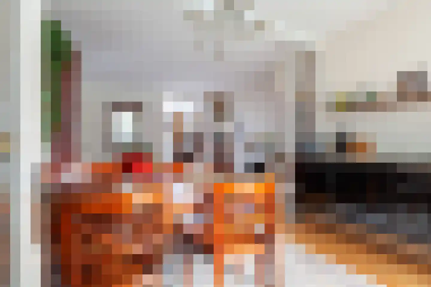 Achter de Vismarkt 56 Gouda thumbnail 13