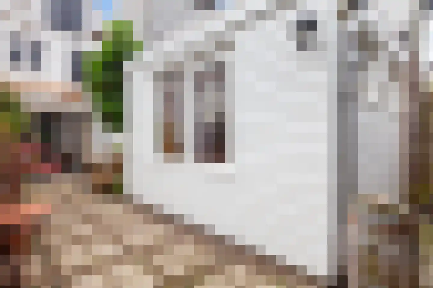 Achter de Vismarkt 56 Gouda thumbnail 31