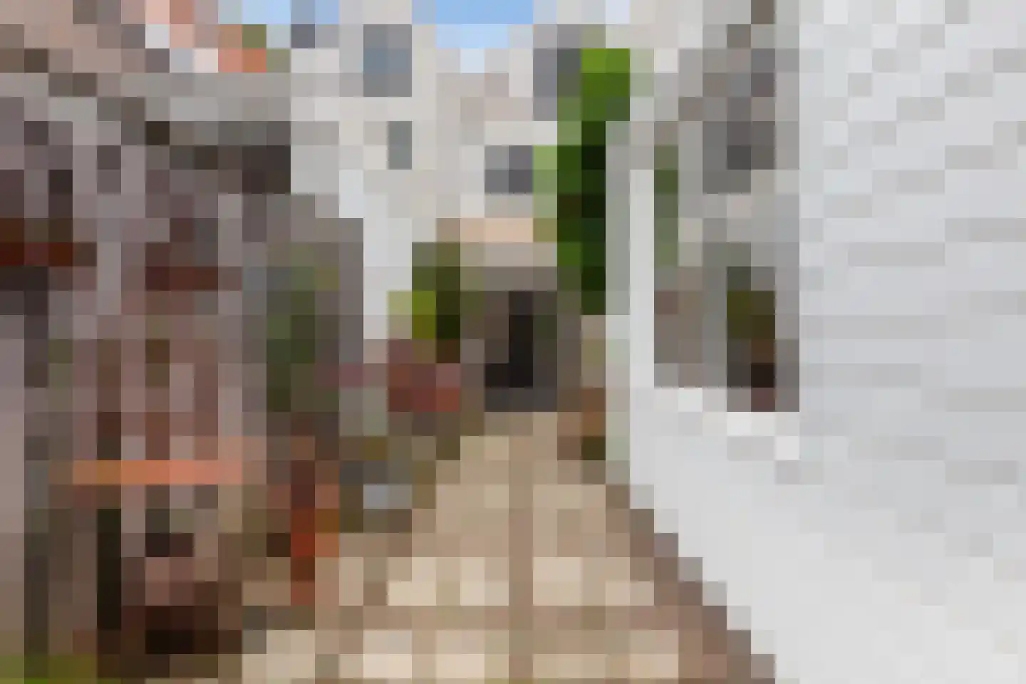 Achter de Vismarkt 56 Gouda thumbnail 32
