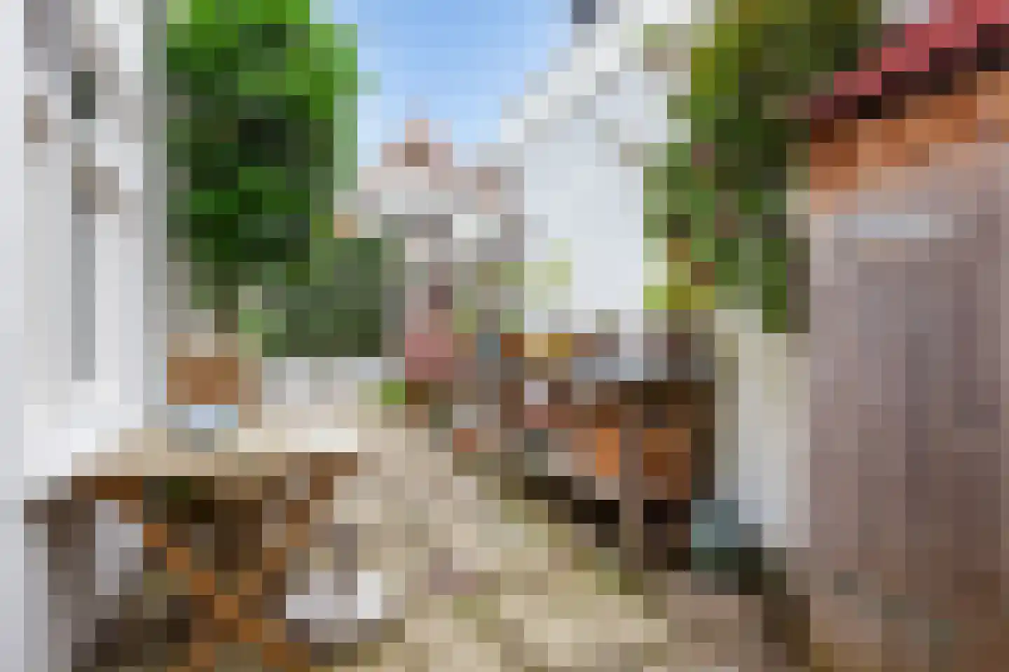Achter de Vismarkt 56 Gouda thumbnail 5