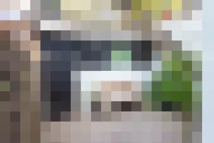 Achter de Vismarkt 98 Gouda thumbnail 4