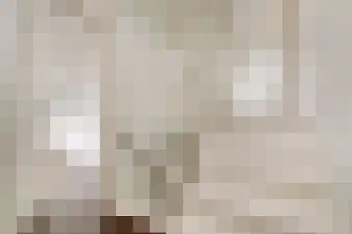 Achter de Waag 13 Gouda thumbnail 4