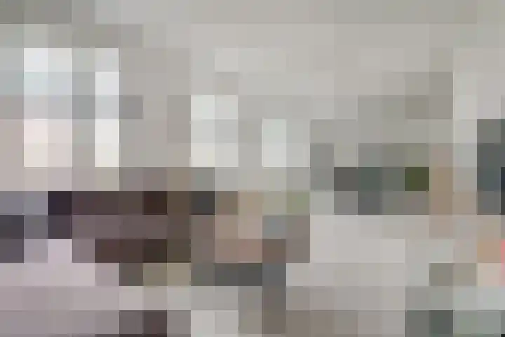 Achter de Wiemelpoort 5 B Nijmegen thumbnail 17