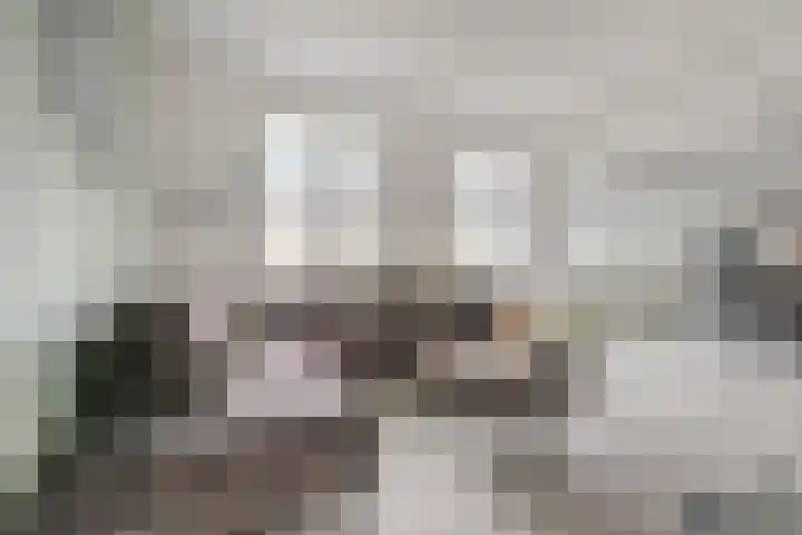 Achter de Wiemelpoort 5 B Nijmegen thumbnail 18