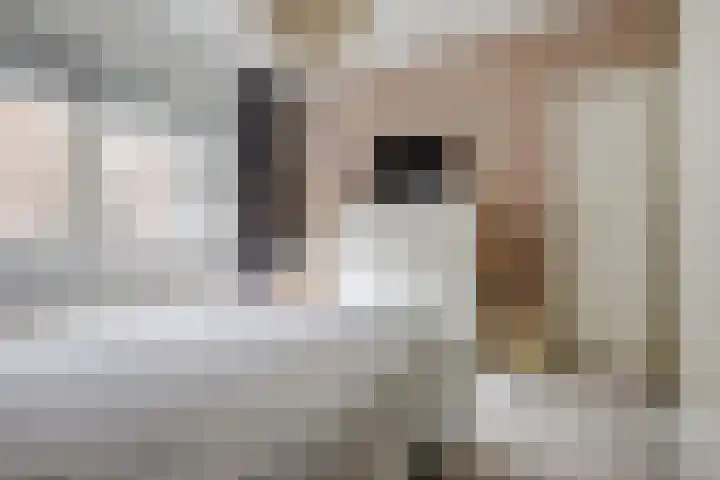 Achter de Wiemelpoort 5 B Nijmegen thumbnail 31