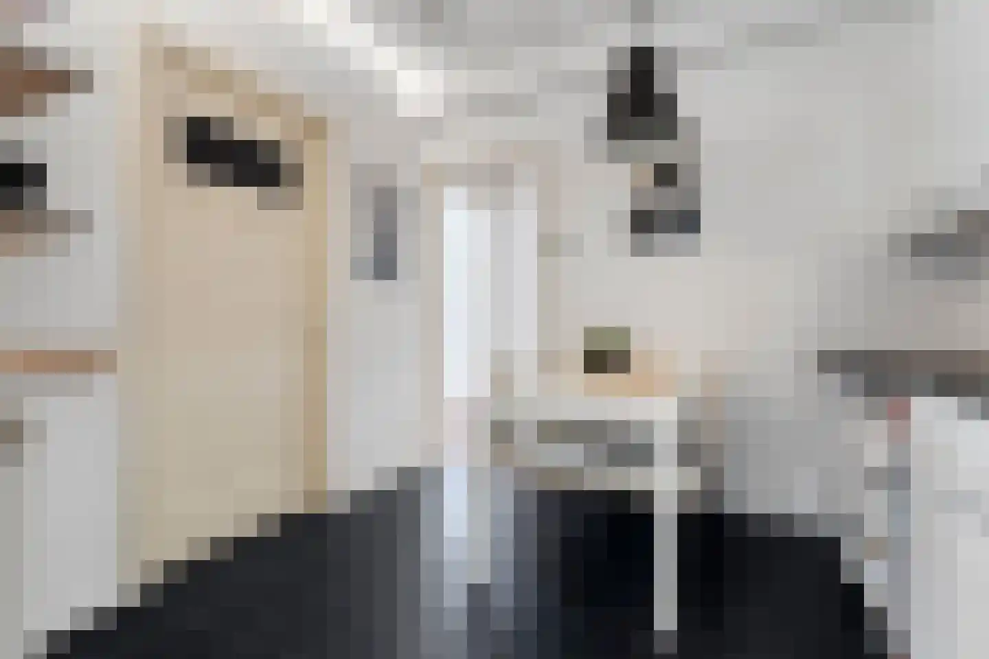Achter de Wiemelpoort 5 B Nijmegen thumbnail 4