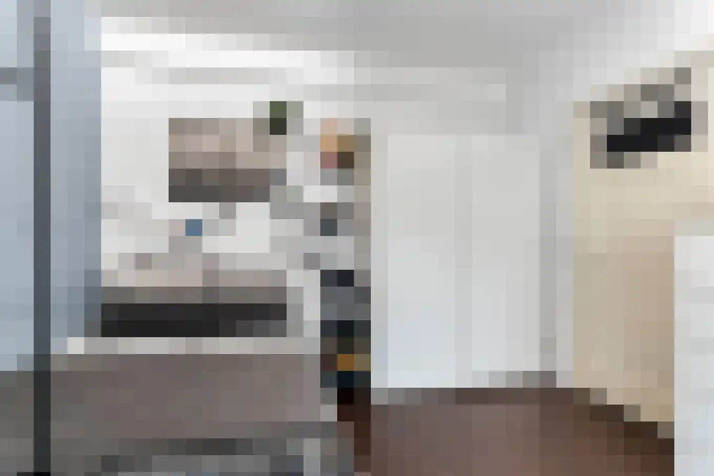 Achter de Wiemelpoort 5 C Nijmegen thumbnail 8