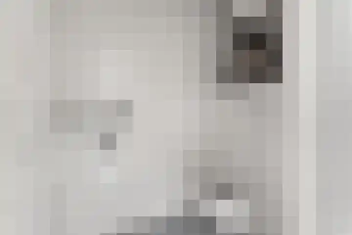 Achter de Wiemelpoort 5 Nijmegen thumbnail 16