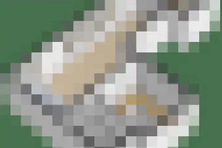 Achter de Wiemelpoort 5 Nijmegen thumbnail 18