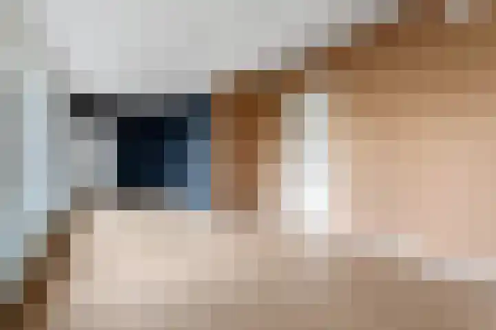 Achter de Wiemelpoort 5 Nijmegen thumbnail 5