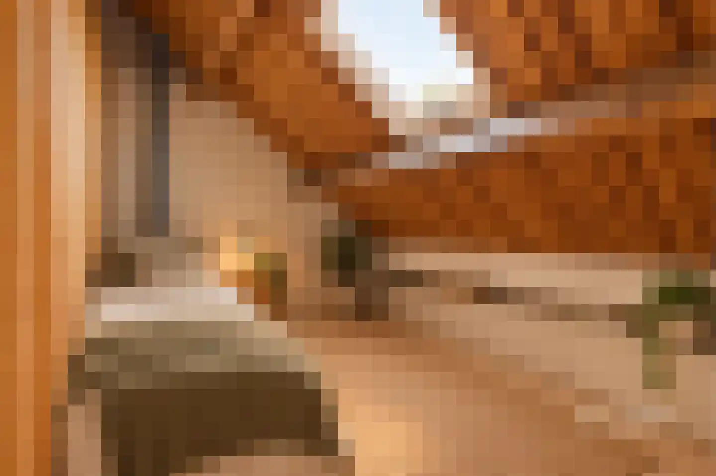 Achter de Zeven Huisjes 10 Wijk bij Duurstede thumbnail 30
