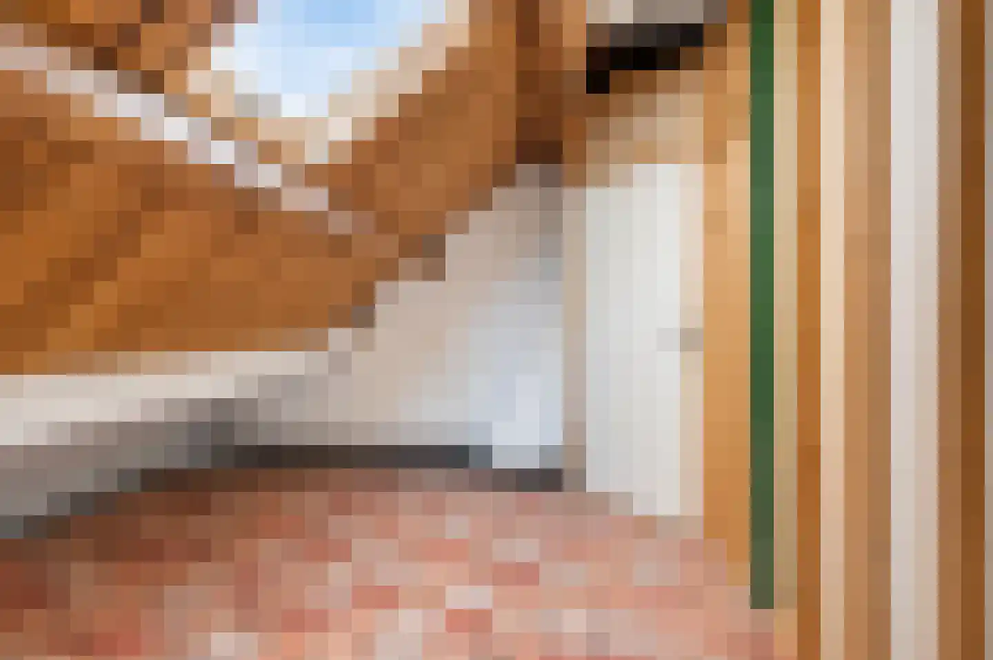 Achter de Zeven Huisjes 10 Wijk bij Duurstede thumbnail 32