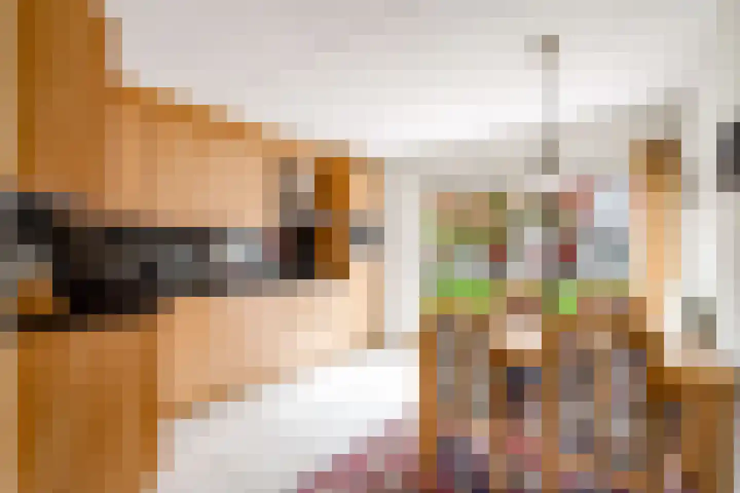 Achter den Brink 8 's-Hertogenbosch thumbnail 12