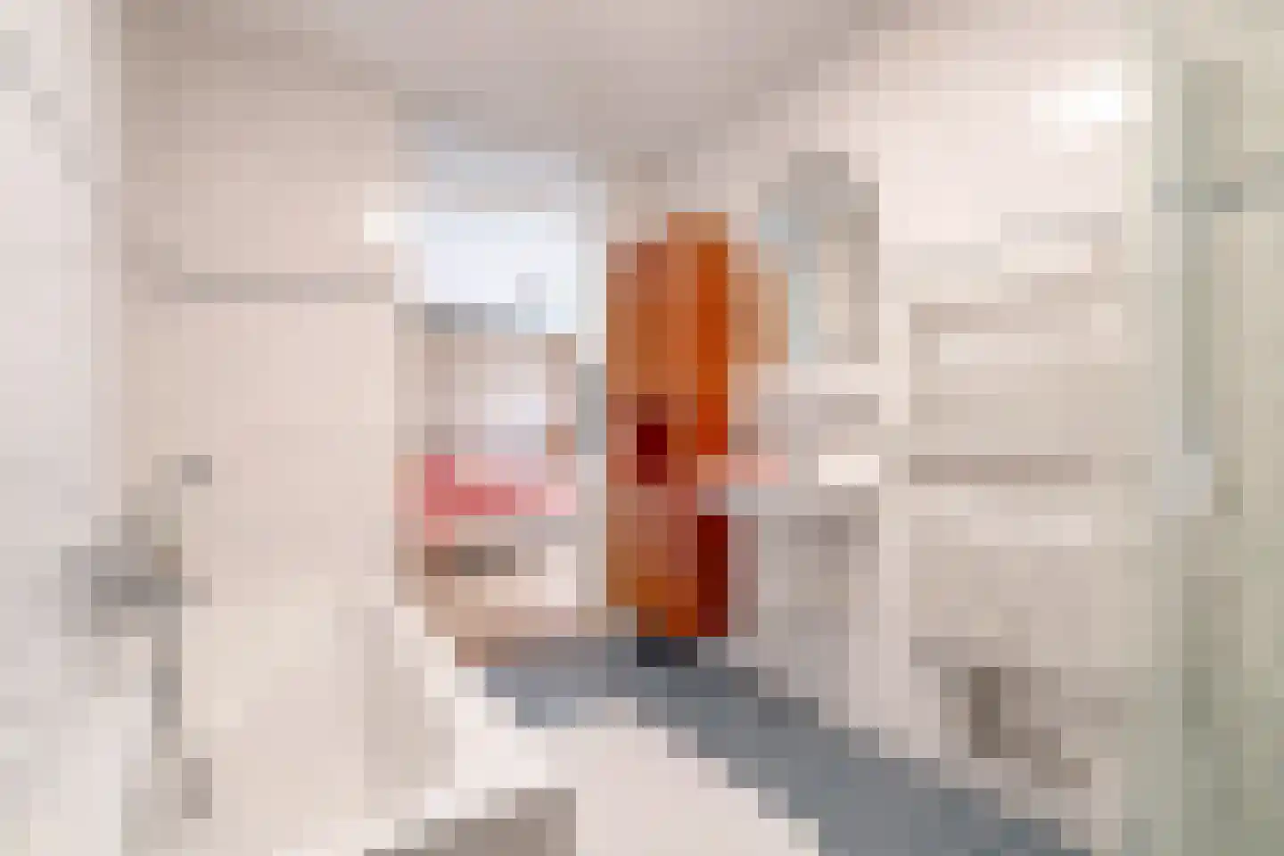 Achter den Brink 8 's-Hertogenbosch thumbnail 25