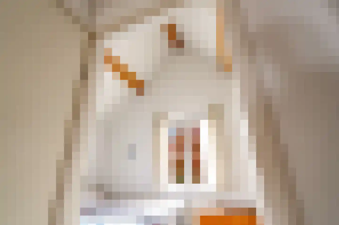 Achter den Brink 8 's-Hertogenbosch thumbnail 30