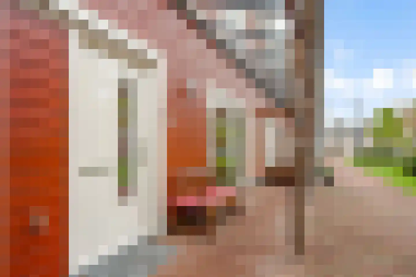 Achter den Brink 8 's-Hertogenbosch thumbnail 37
