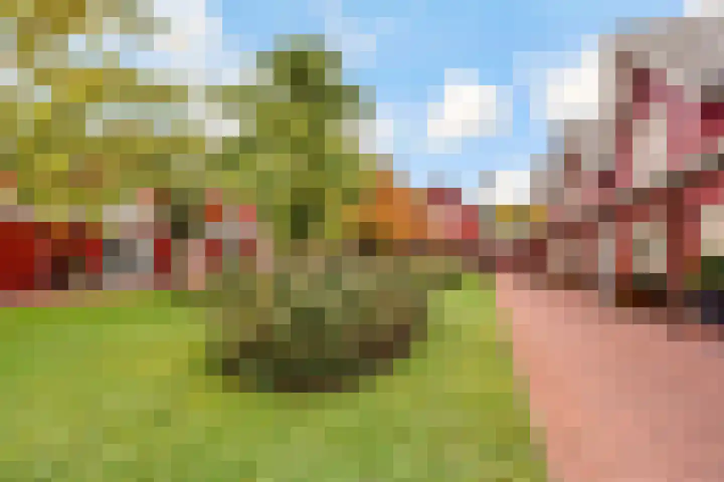 Achter den Brink 8 's-Hertogenbosch thumbnail 39