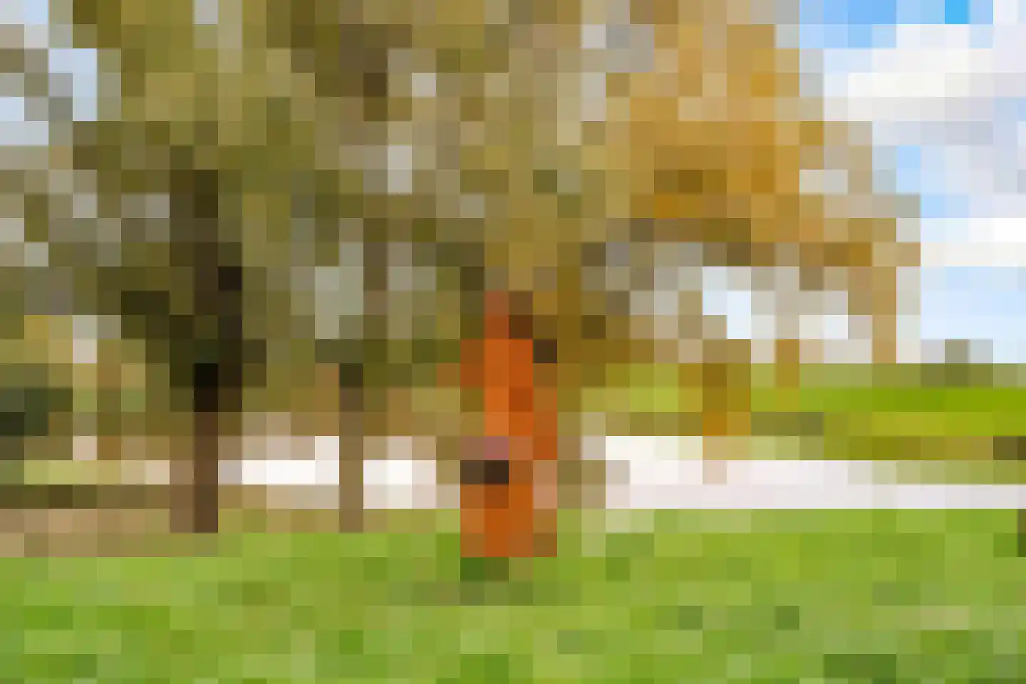 Achter den Brink 8 's-Hertogenbosch thumbnail 47