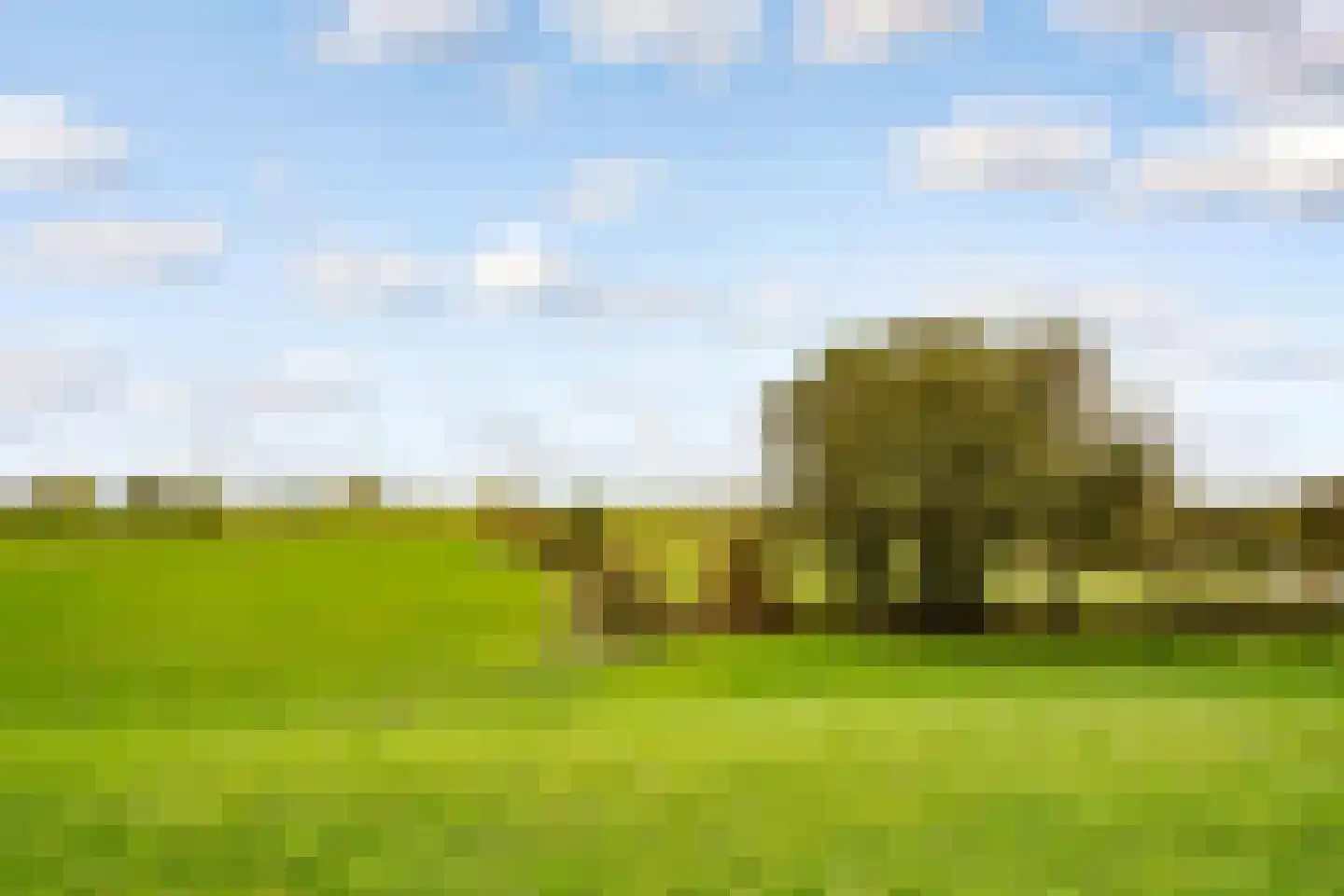 Achter den Brink 8 's-Hertogenbosch thumbnail 49