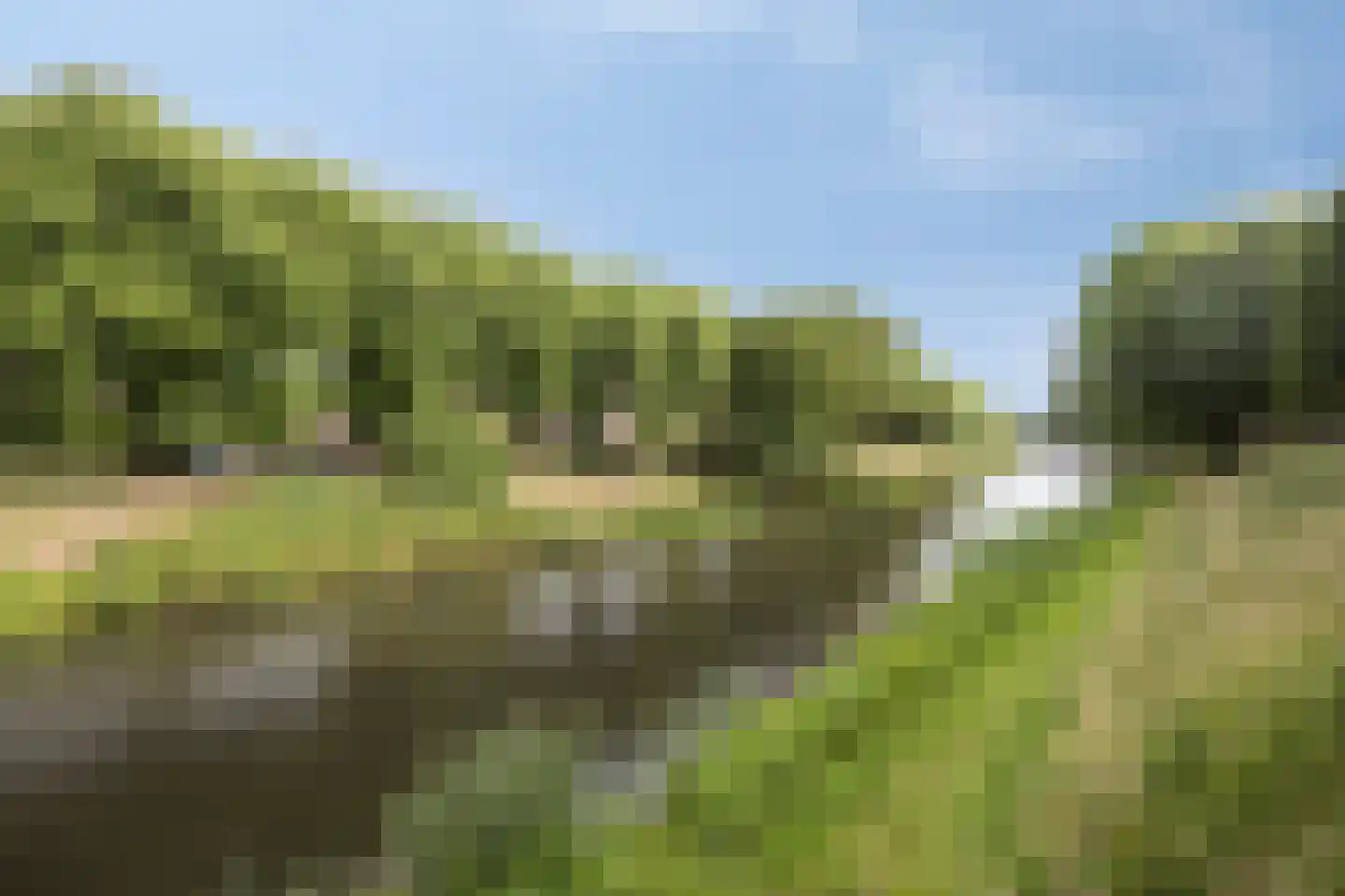 Achter den Engel 9 's-Hertogenbosch thumbnail 22