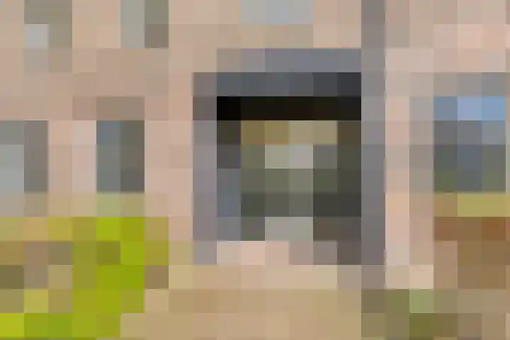 Achter den Ham 13 Dongen thumbnail 11