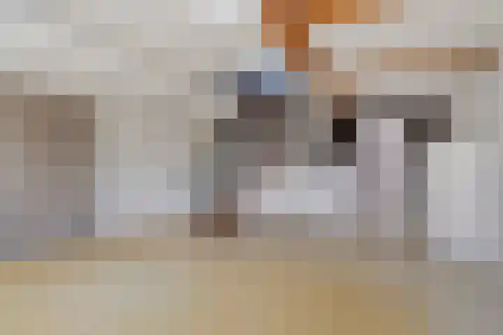 Achter den Ham 13 Dongen thumbnail 19