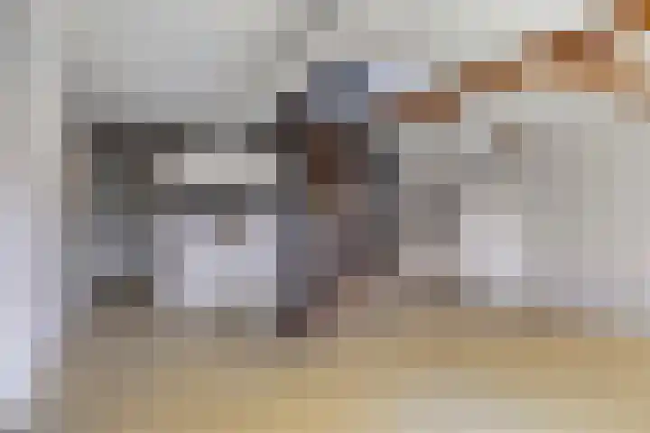 Achter den Ham 13 Dongen thumbnail 20