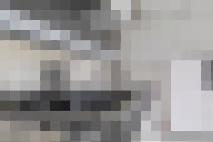 Achter den Ham 13 Dongen thumbnail 21