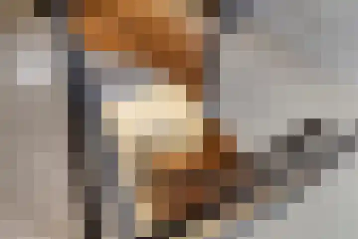 Achter den Ham 13 Dongen thumbnail 26