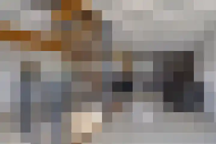 Achter den Ham 13 Dongen thumbnail 27