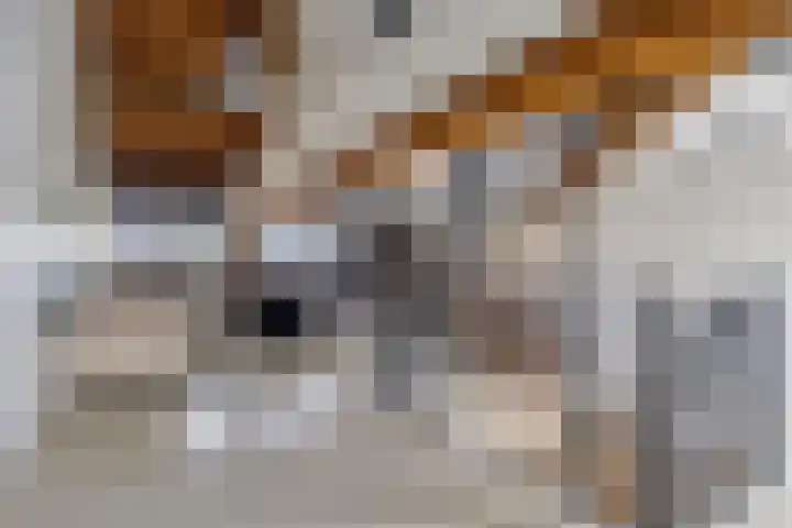 Achter den Ham 13 Dongen thumbnail 28
