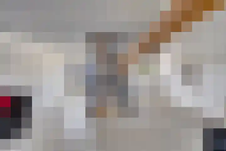 Achter den Ham 13 Dongen thumbnail 29
