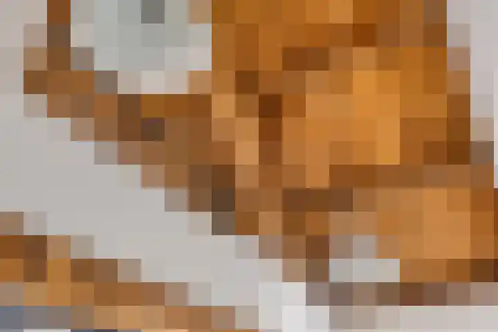 Achter den Ham 13 Dongen thumbnail 30