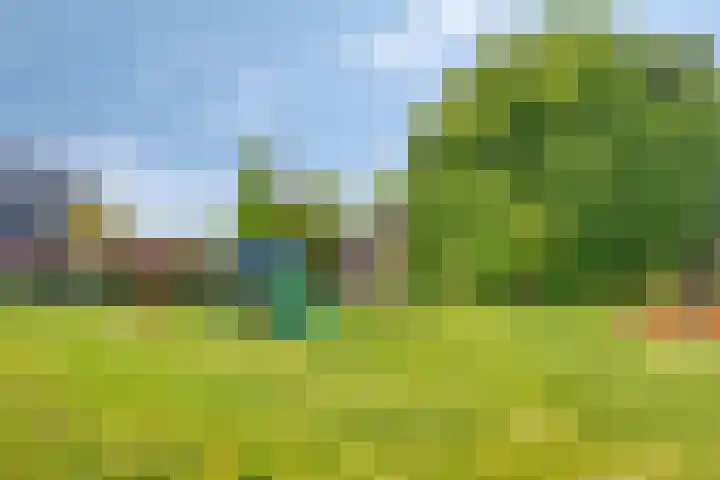 Achter den Ham 13 Dongen thumbnail 35