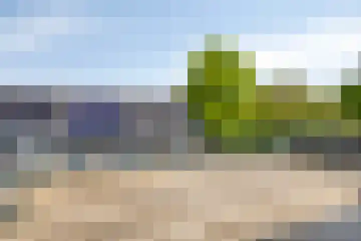Achter den Ham 13 Dongen thumbnail 6