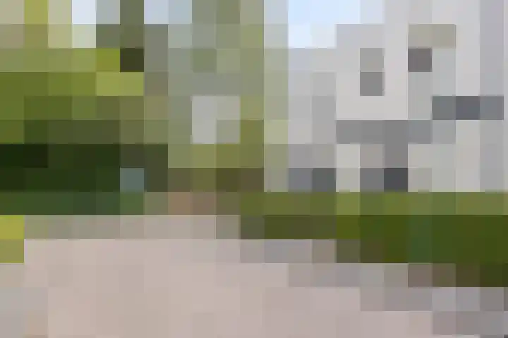 Achter den Ham 15 Dongen thumbnail 10