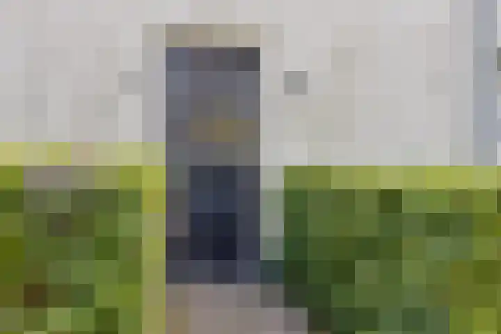 Achter den Ham 15 Dongen thumbnail 11