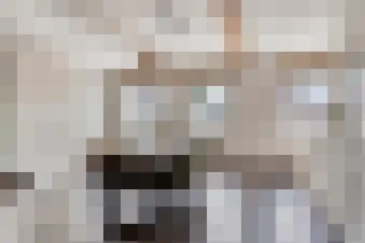 Achter den Ham 15 Dongen thumbnail 15