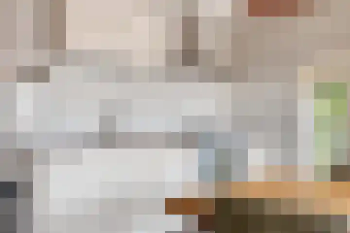 Achter den Ham 15 Dongen thumbnail 16