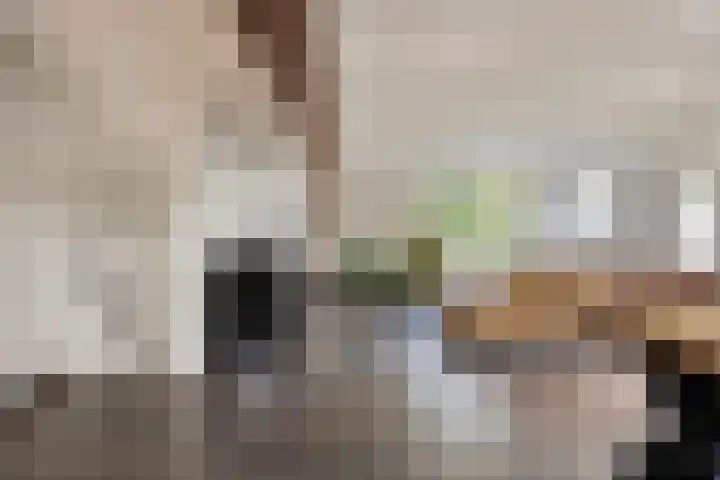Achter den Ham 15 Dongen foto 2